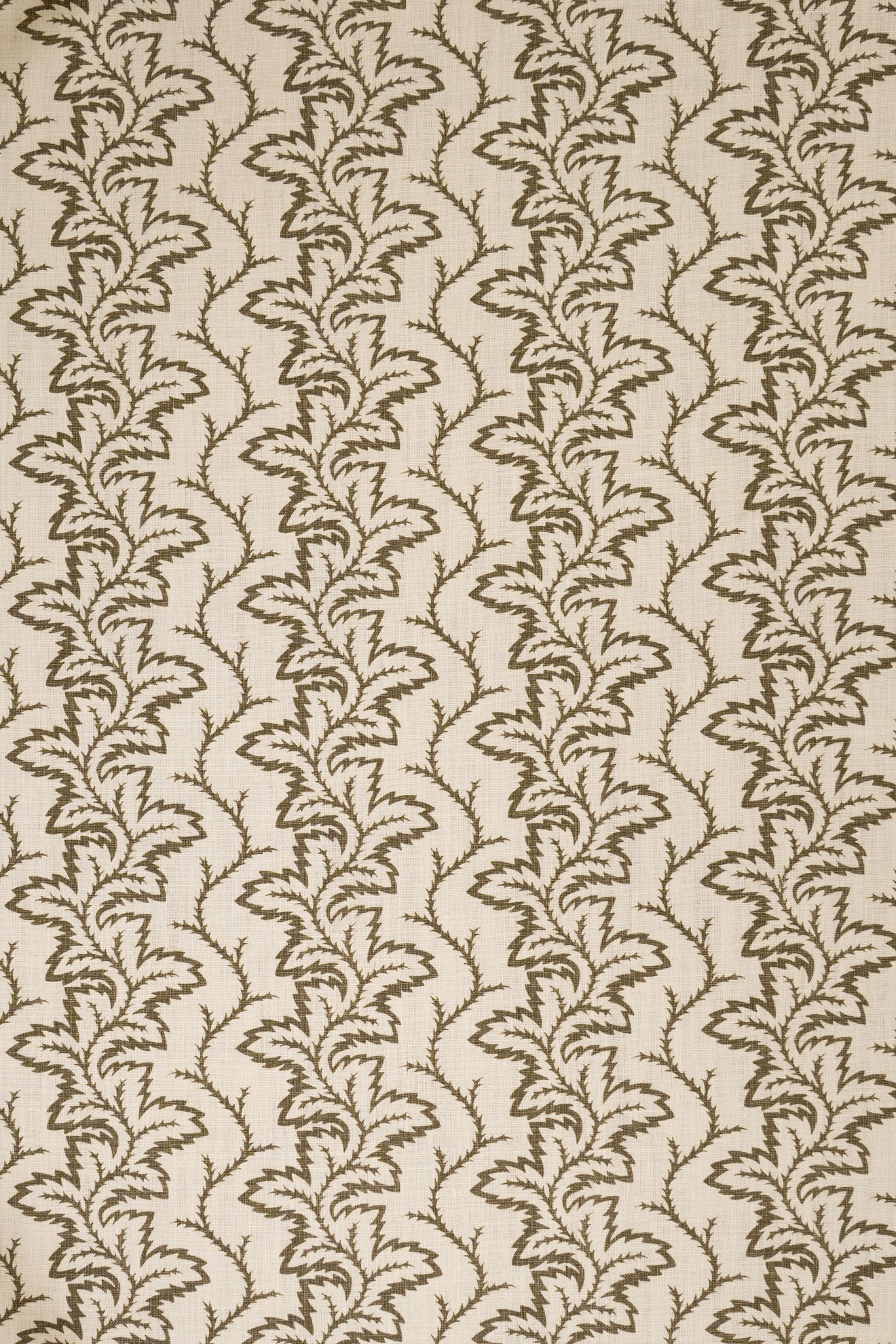 9- green olive_SEAFERN