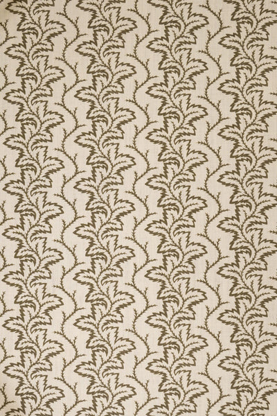 9- green olive_SEAFERN