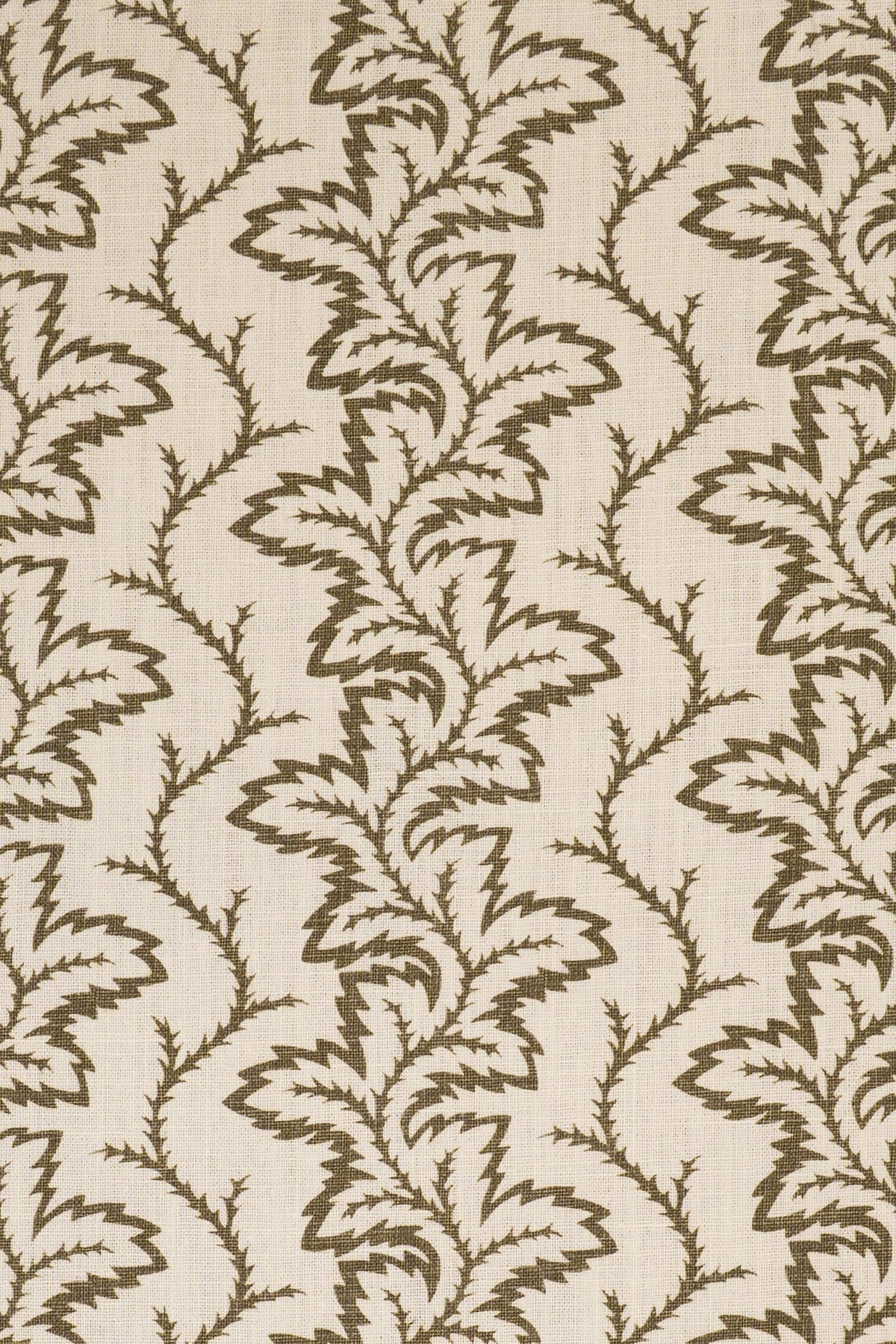 9- green olive_SEAFERN