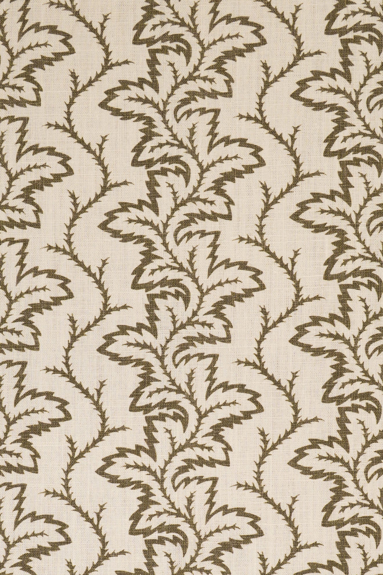 9- green olive_SEAFERN