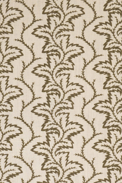 9- green olive_SEAFERN