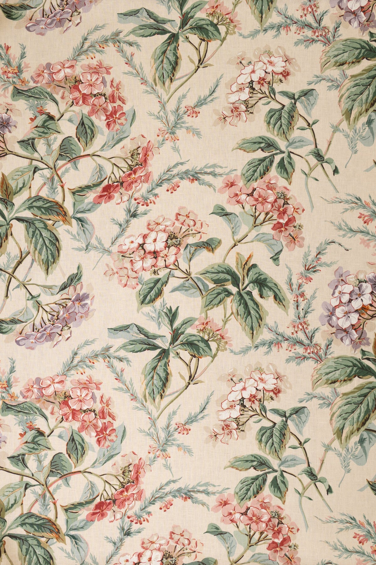 jm-1030 pink/purple_HEATHER & HORTENSIA