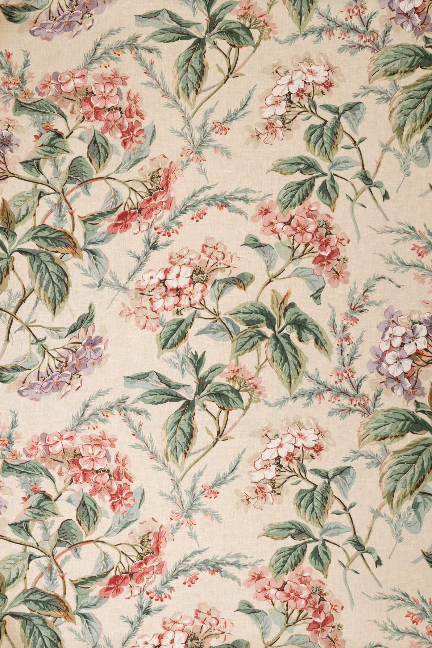 jm-1030 pink/purple_HEATHER & HORTENSIA