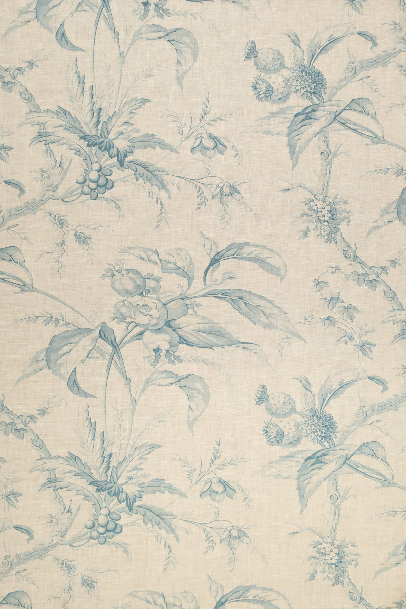 jm-p1424 blue_LES CHATAIGNES