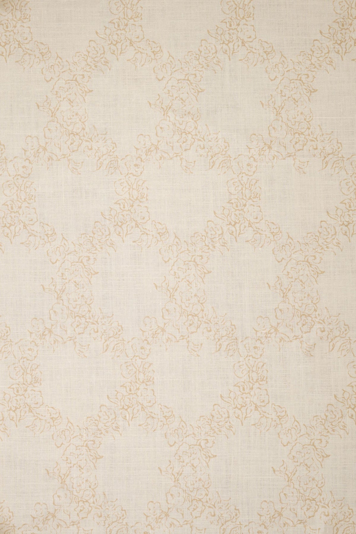 10- moonlight beige_MIDDAY LACE
