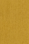RSC-1267 Lichen