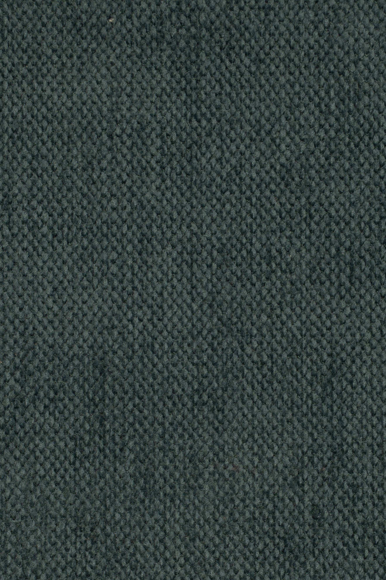 1269_OTTOLINE