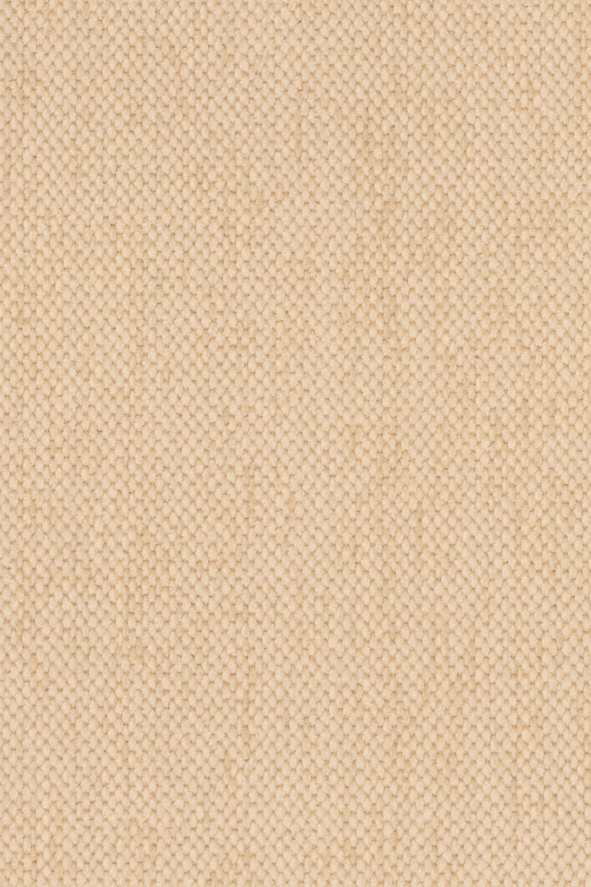 1260_OTTOLINE