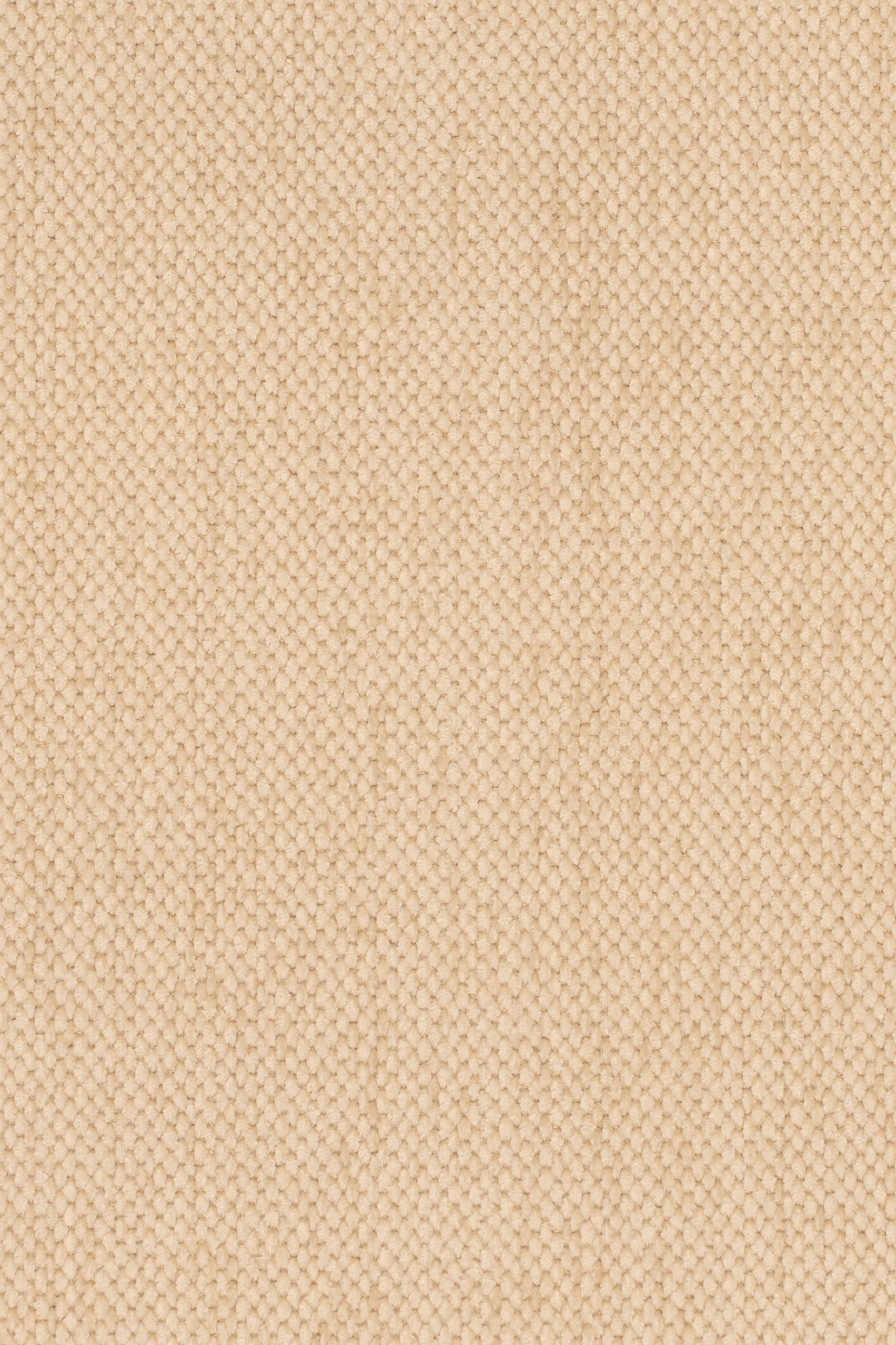1260_OTTOLINE