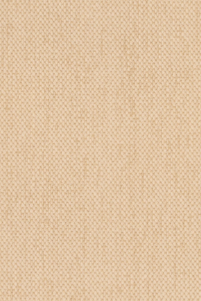 1260_OTTOLINE