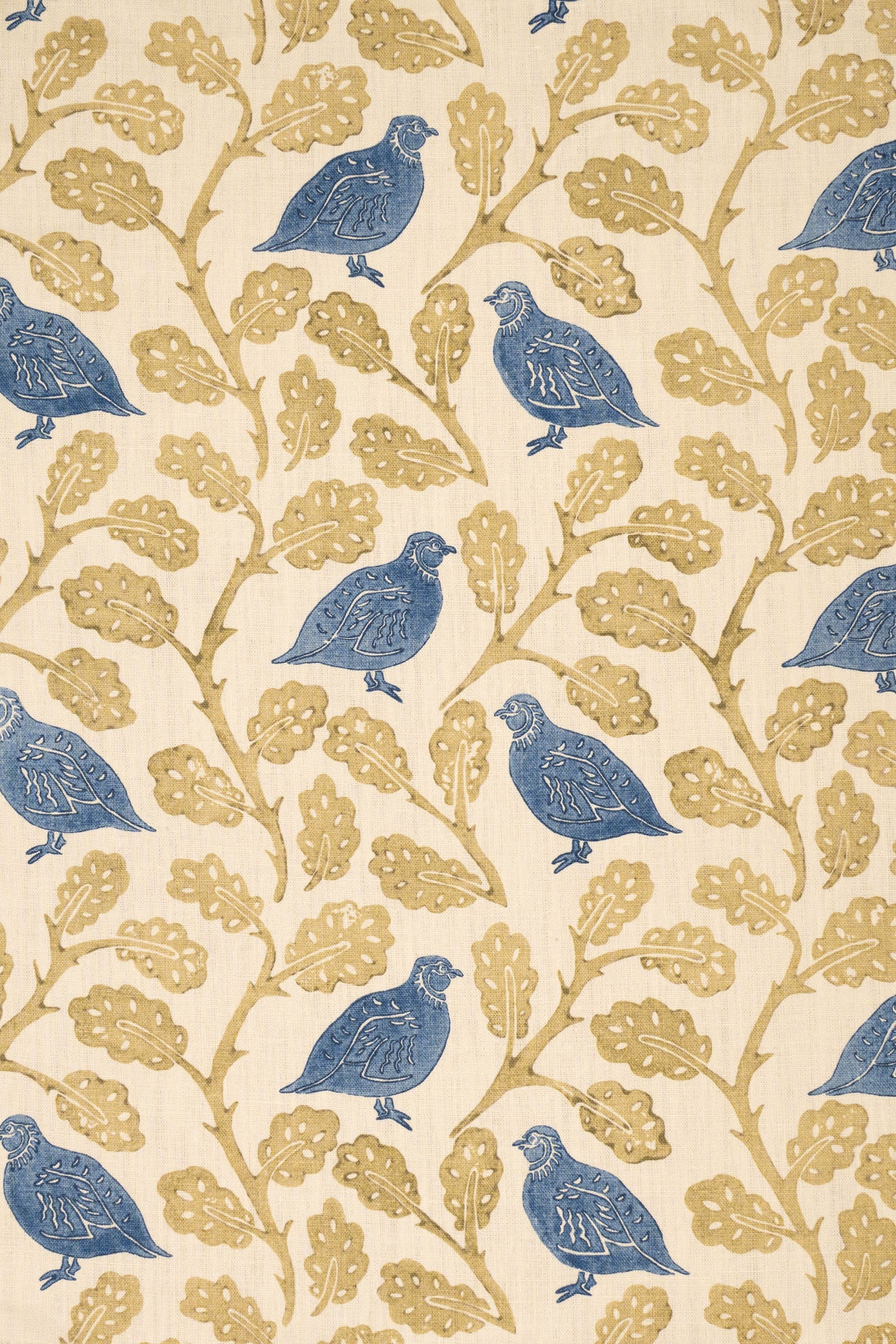 rsc-2201-2 sage china_PENNY PARTRIDGE