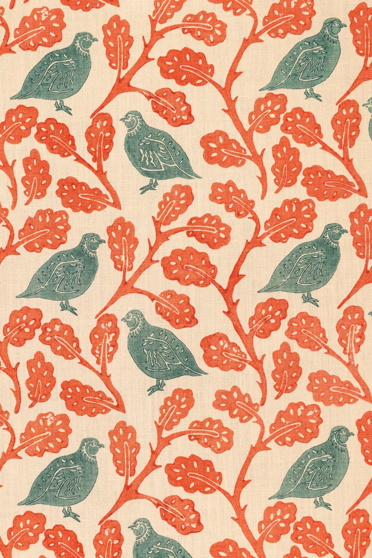 rsc-2201-1 teal jaffa_PENNY PARTRIDGE