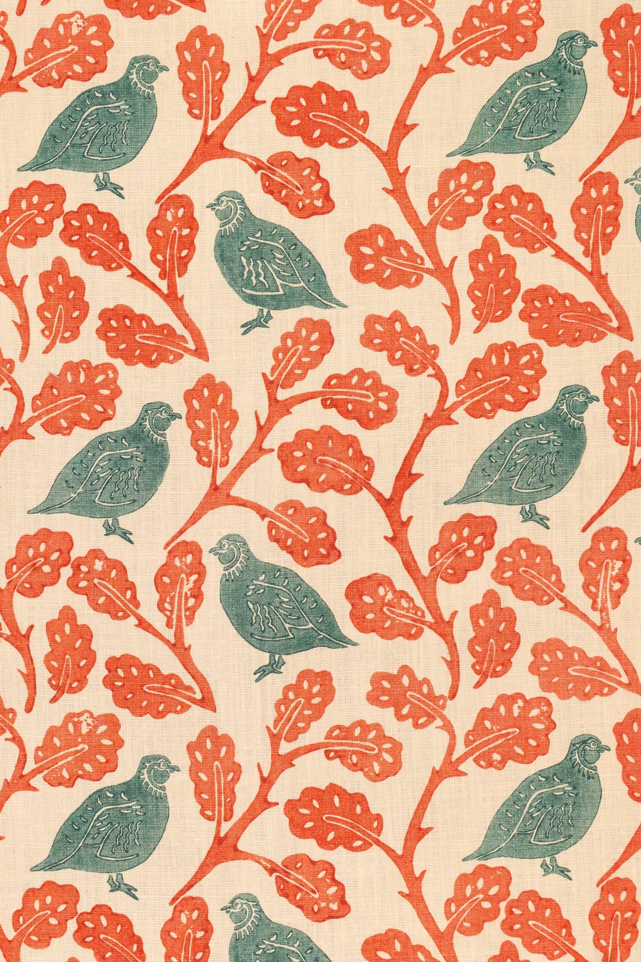 rsc-2201-1 teal jaffa_PENNY PARTRIDGE