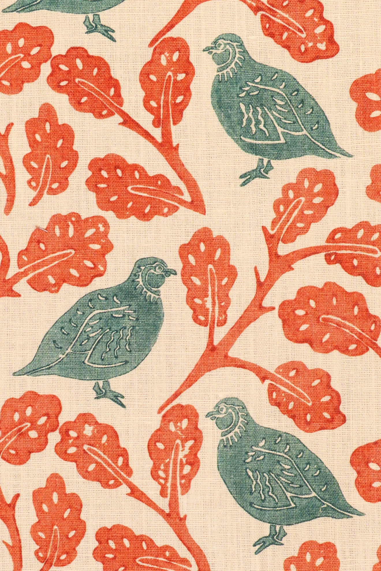rsc-2201-1 teal jaffa_PENNY PARTRIDGE