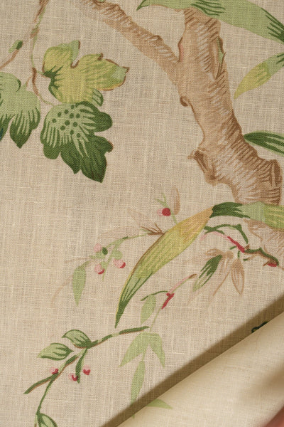 jm-r12685 duck egg_PEONY TRAIL