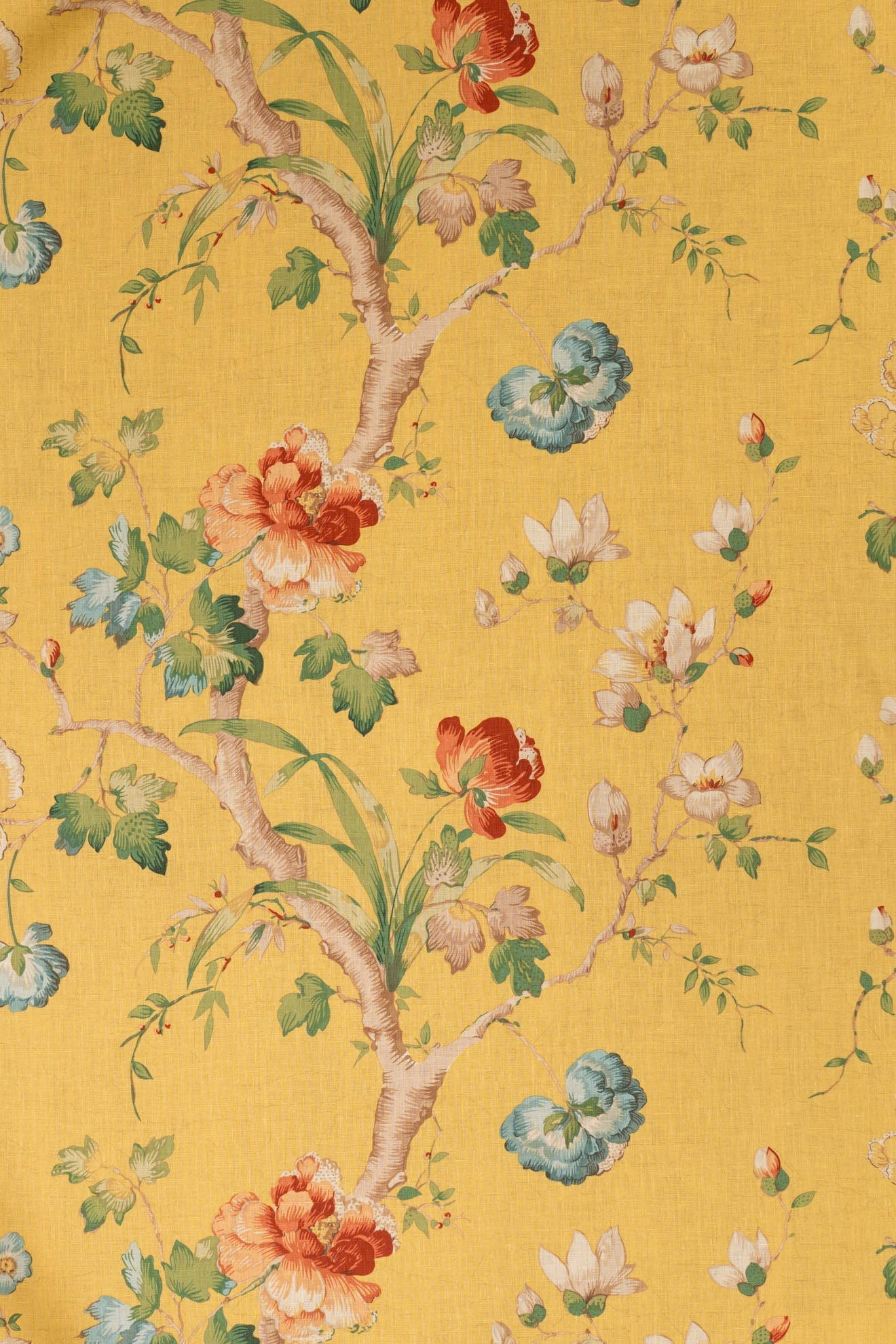 jm-r12146 yellow_PEONY TRAIL