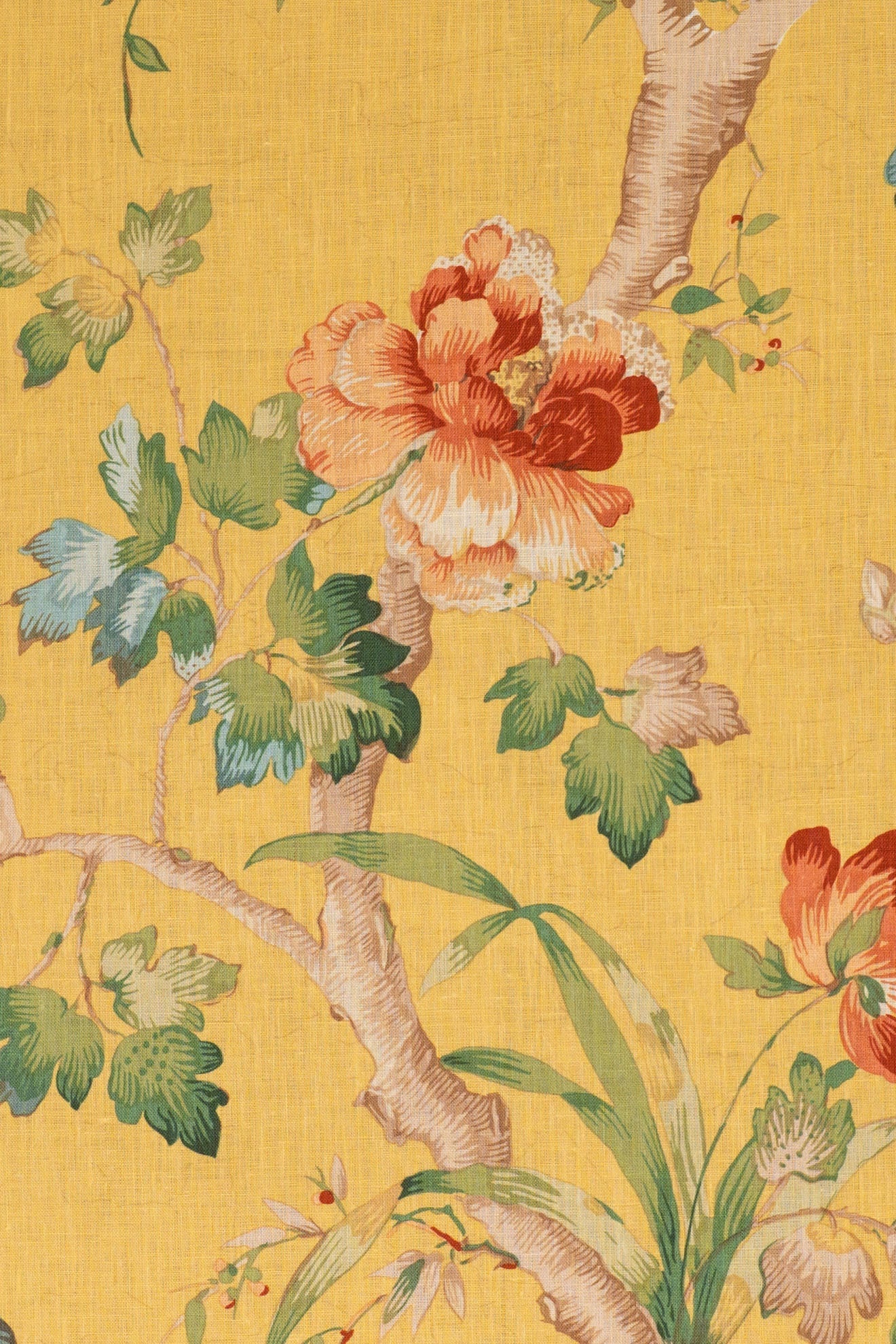 jm-r12146 yellow_PEONY TRAIL