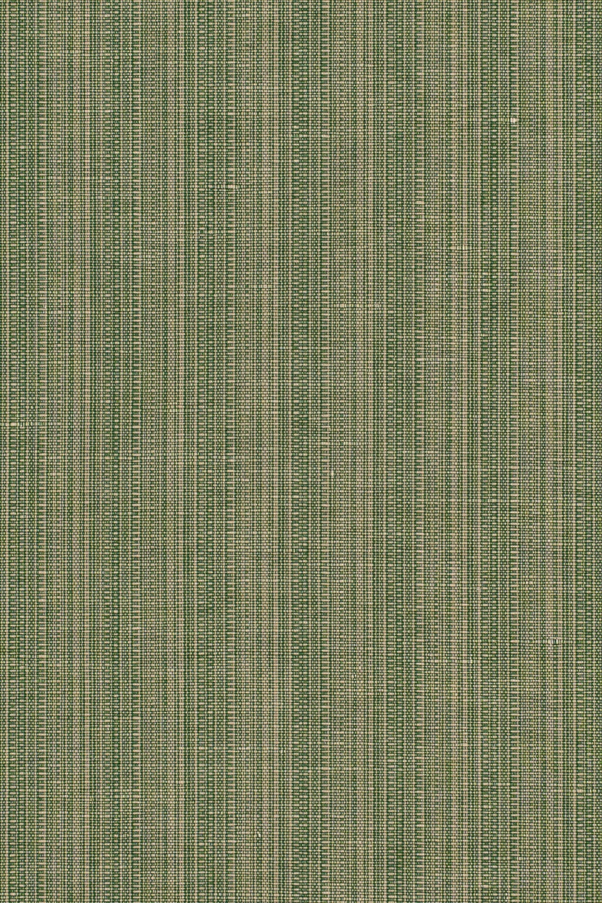 cedar rsc-2002-8_SAN LUCA STRIE