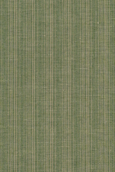 cedar rsc-2002-8_SAN LUCA STRIE