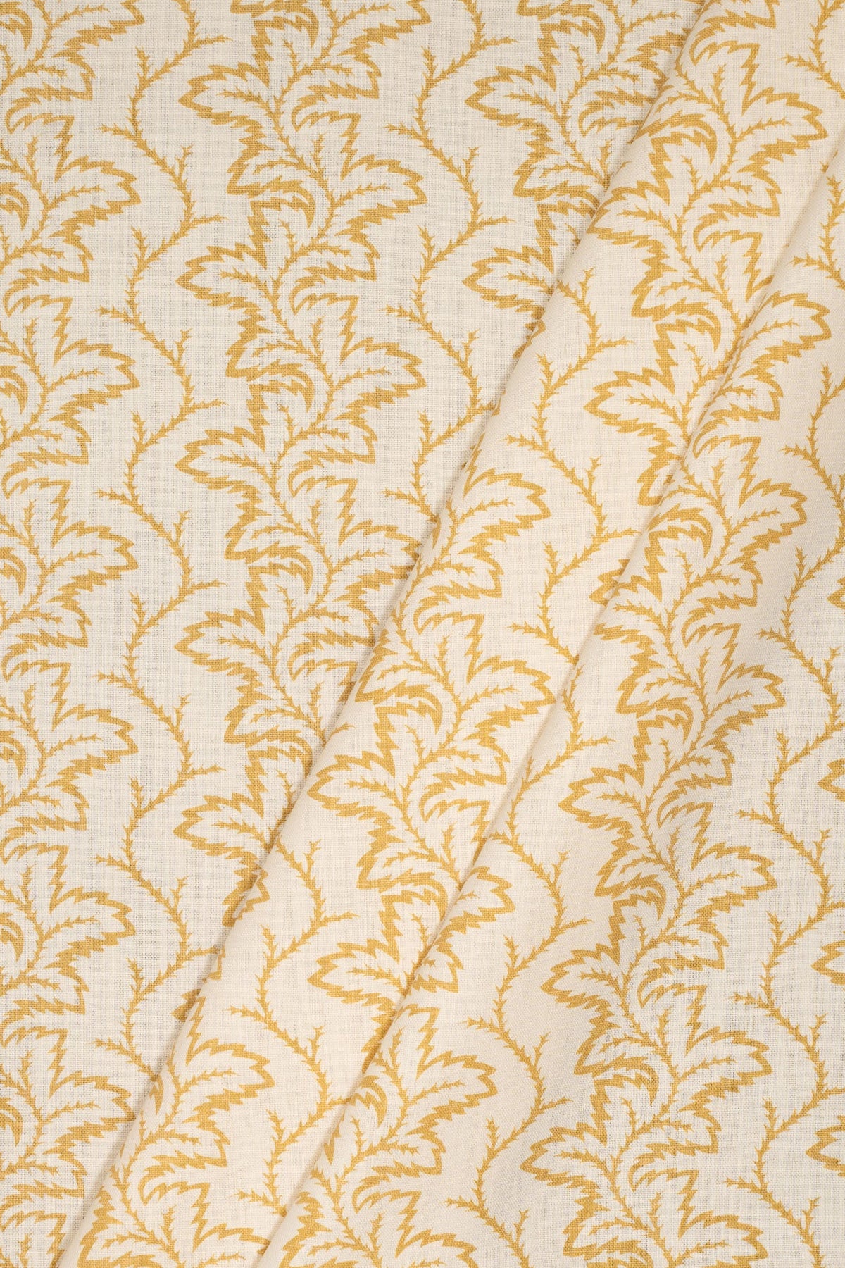 2-haystack yellow_SEAFERN