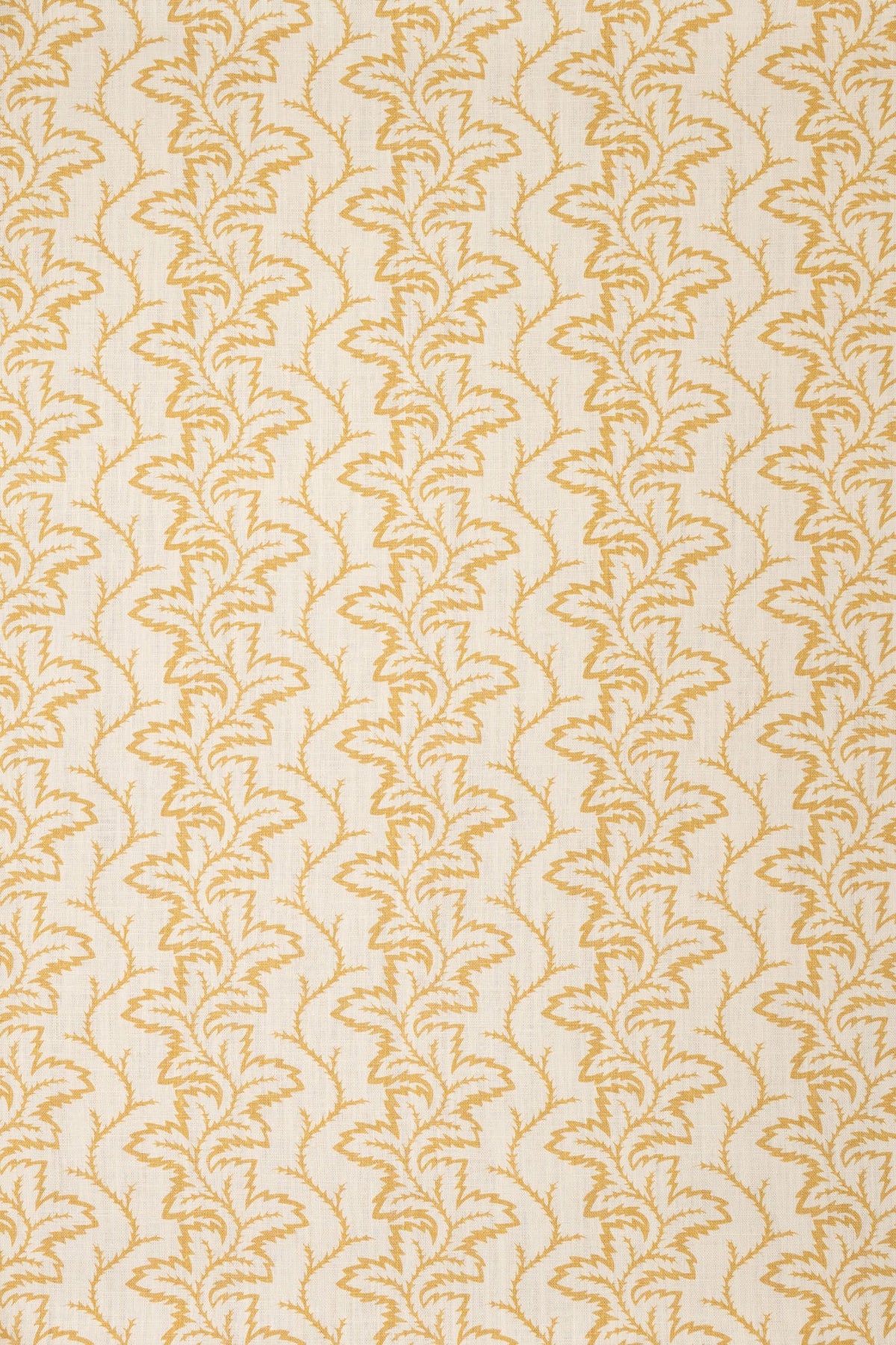 2-haystack yellow_SEAFERN