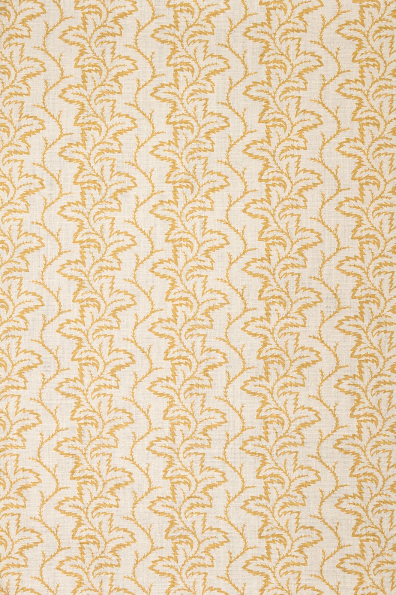 2-haystack yellow_SEAFERN