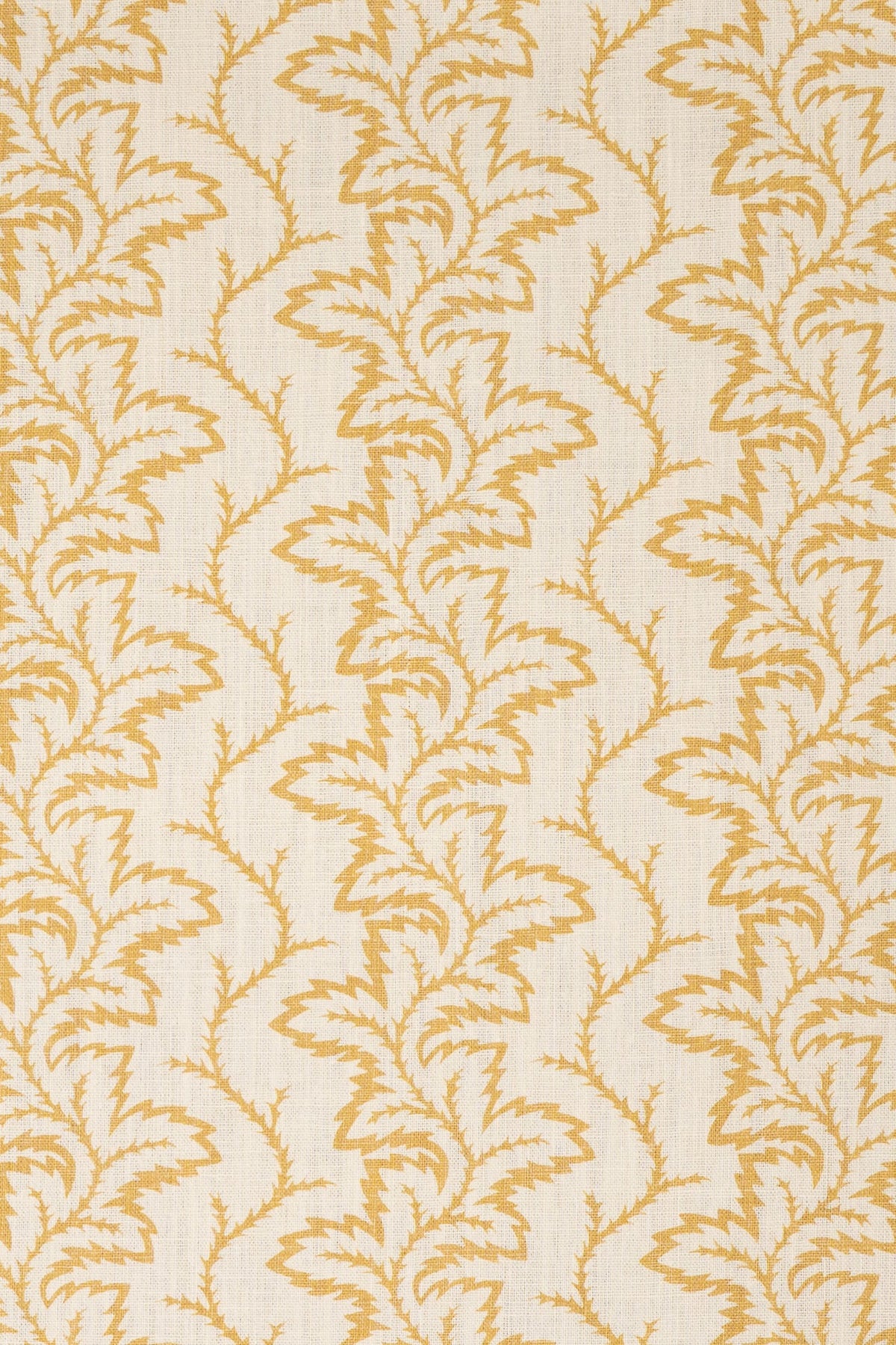 2-haystack yellow_SEAFERN