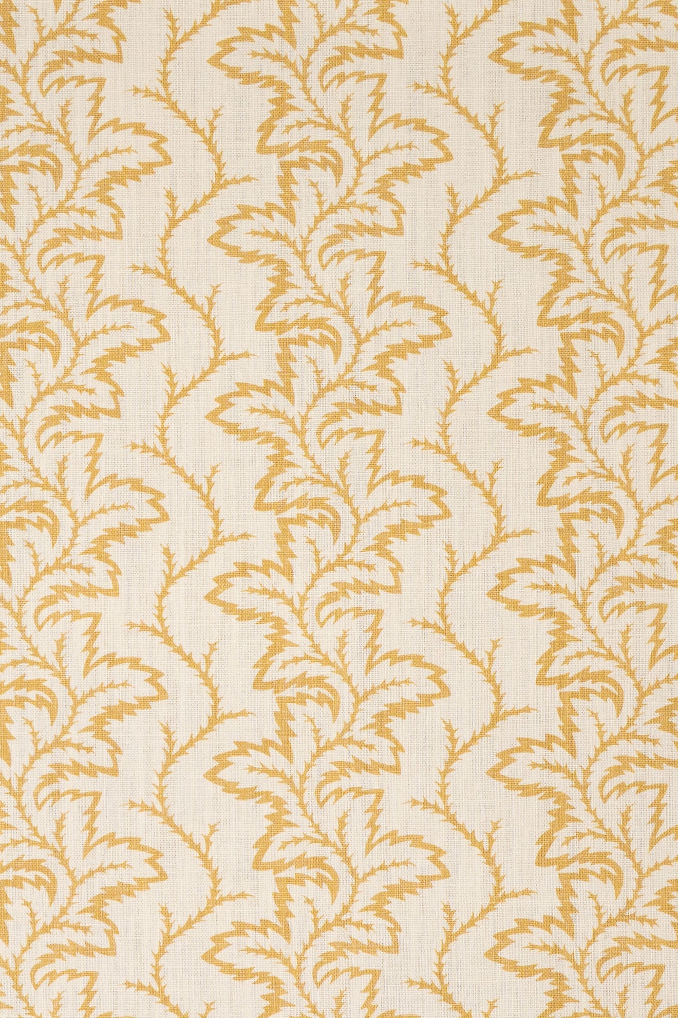 2-haystack yellow_SEAFERN