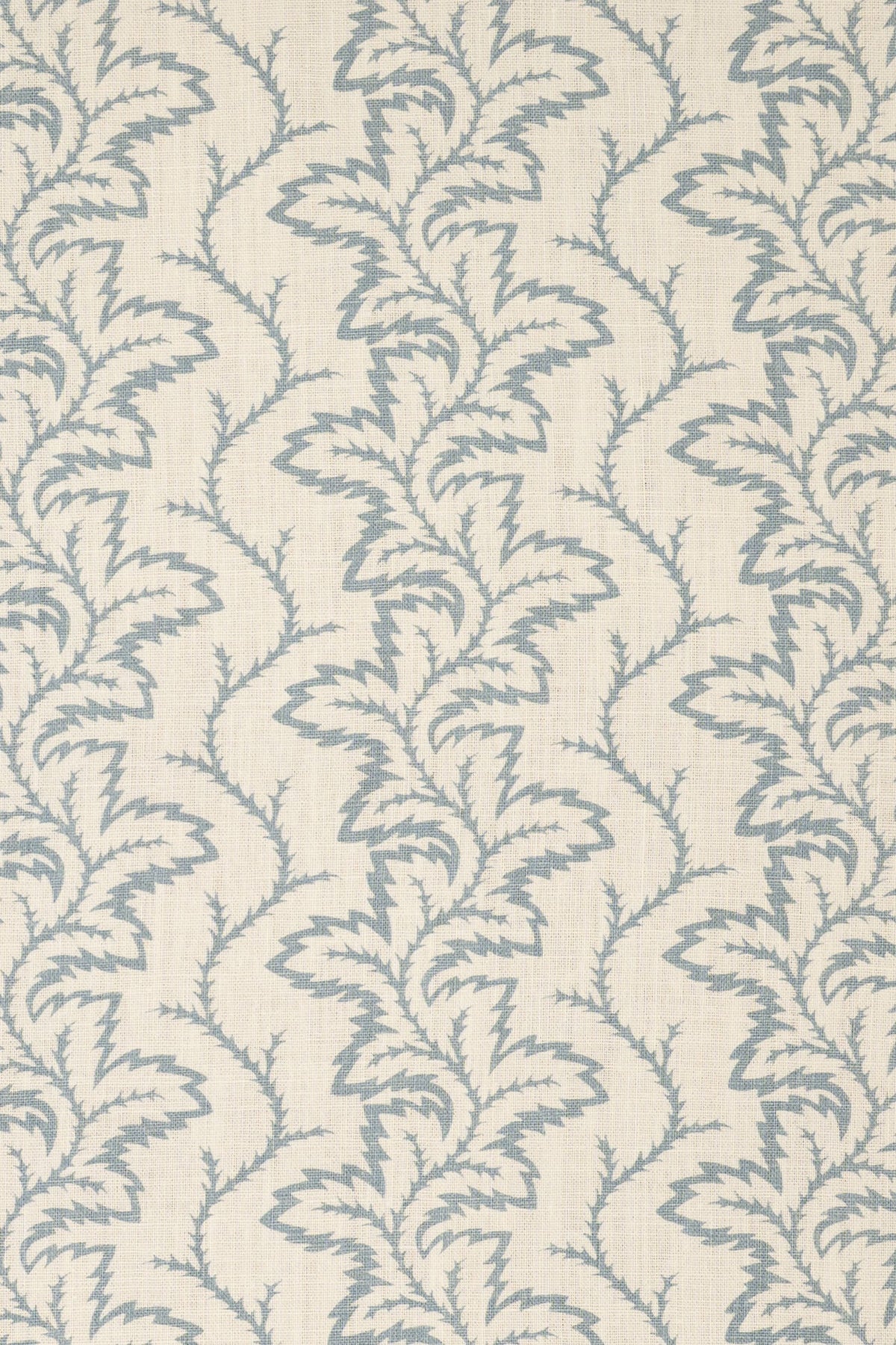 4-heavenly blue_SEAFERN