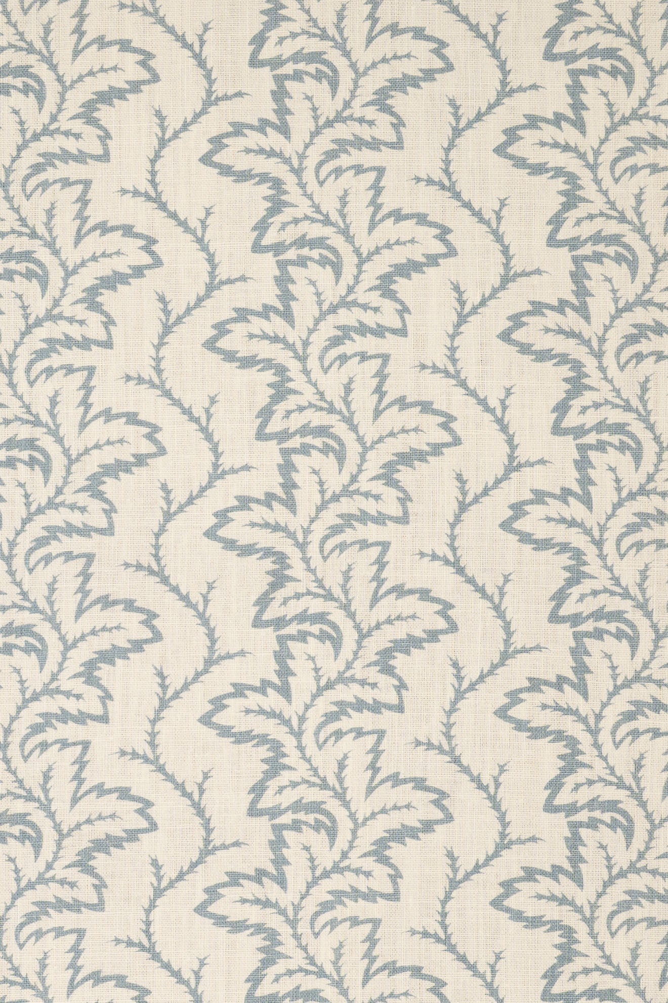 4-heavenly blue_SEAFERN