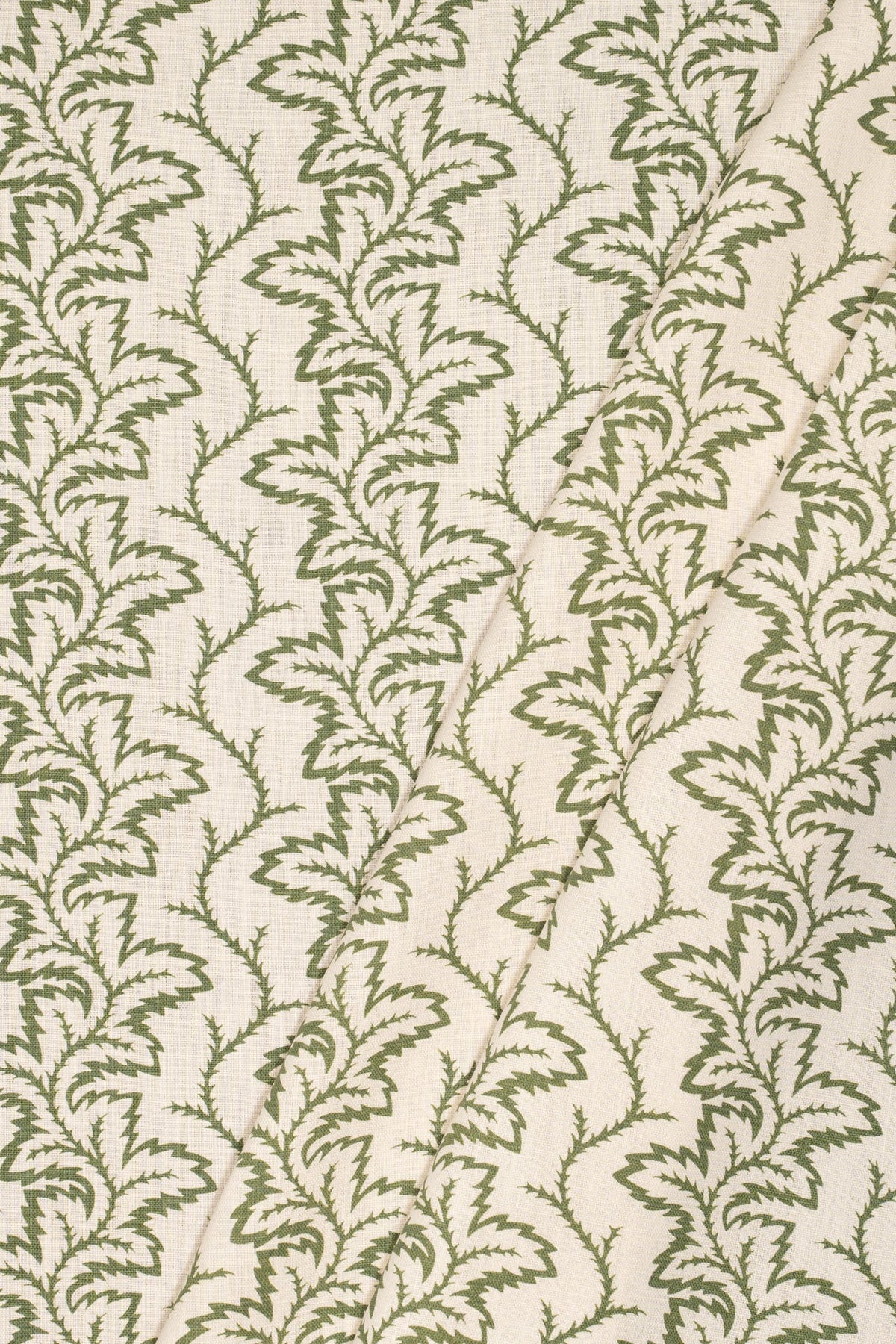 1- new mown green_SEAFERN