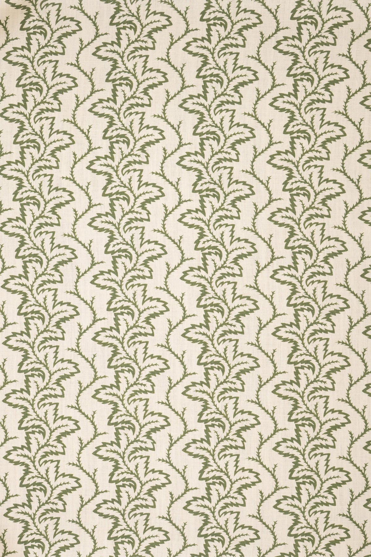 1- new mown green_SEAFERN