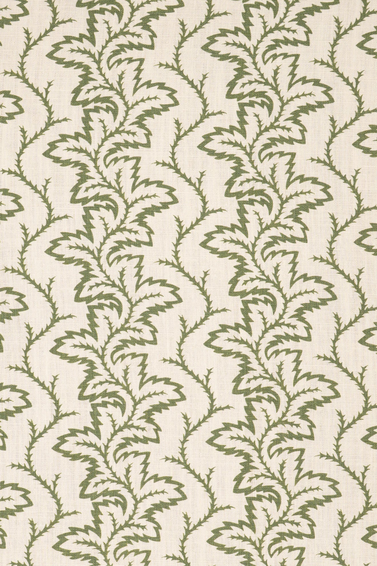 1- new mown green_SEAFERN