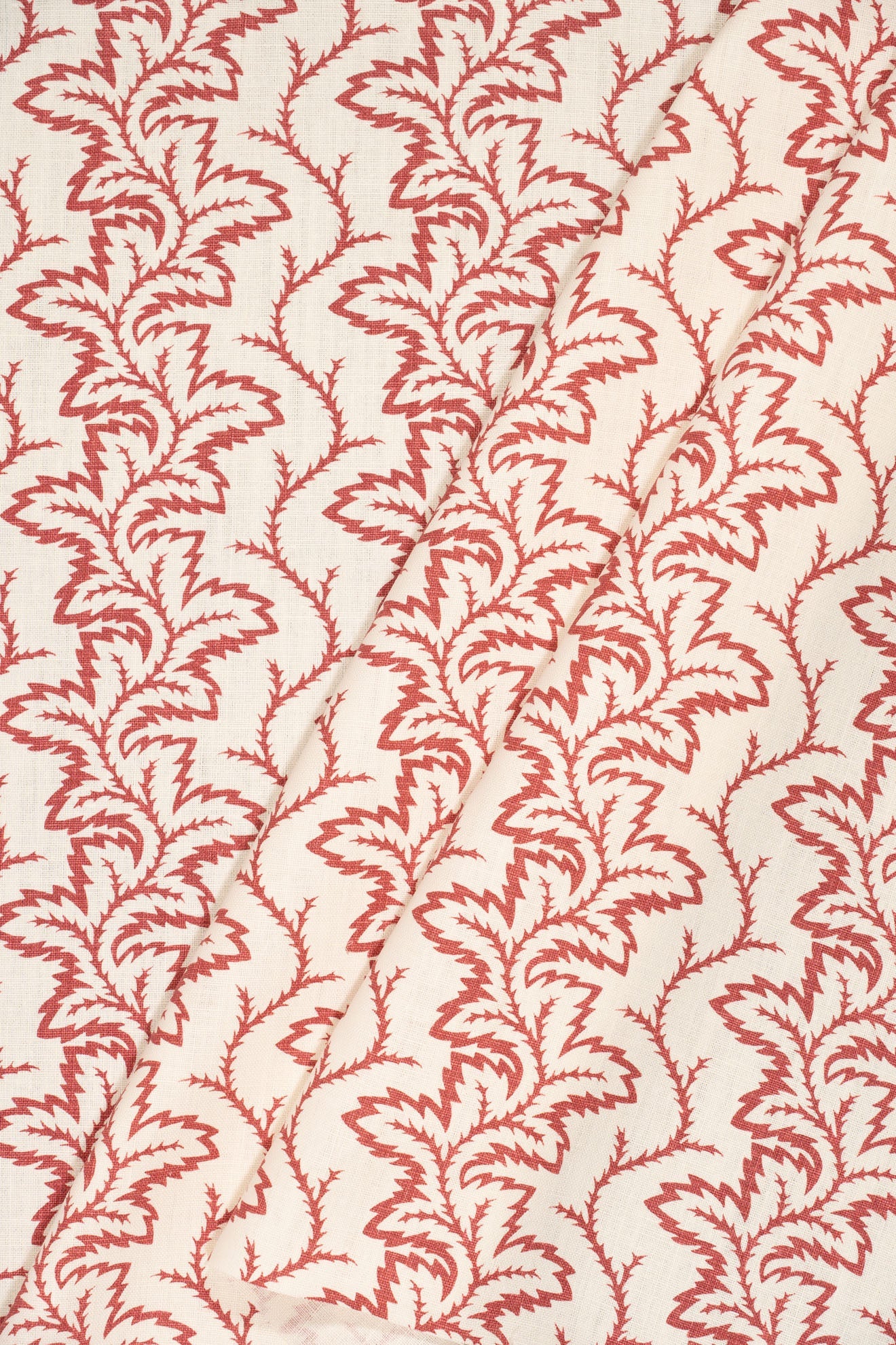 3-pomegranate red_SEAFERN