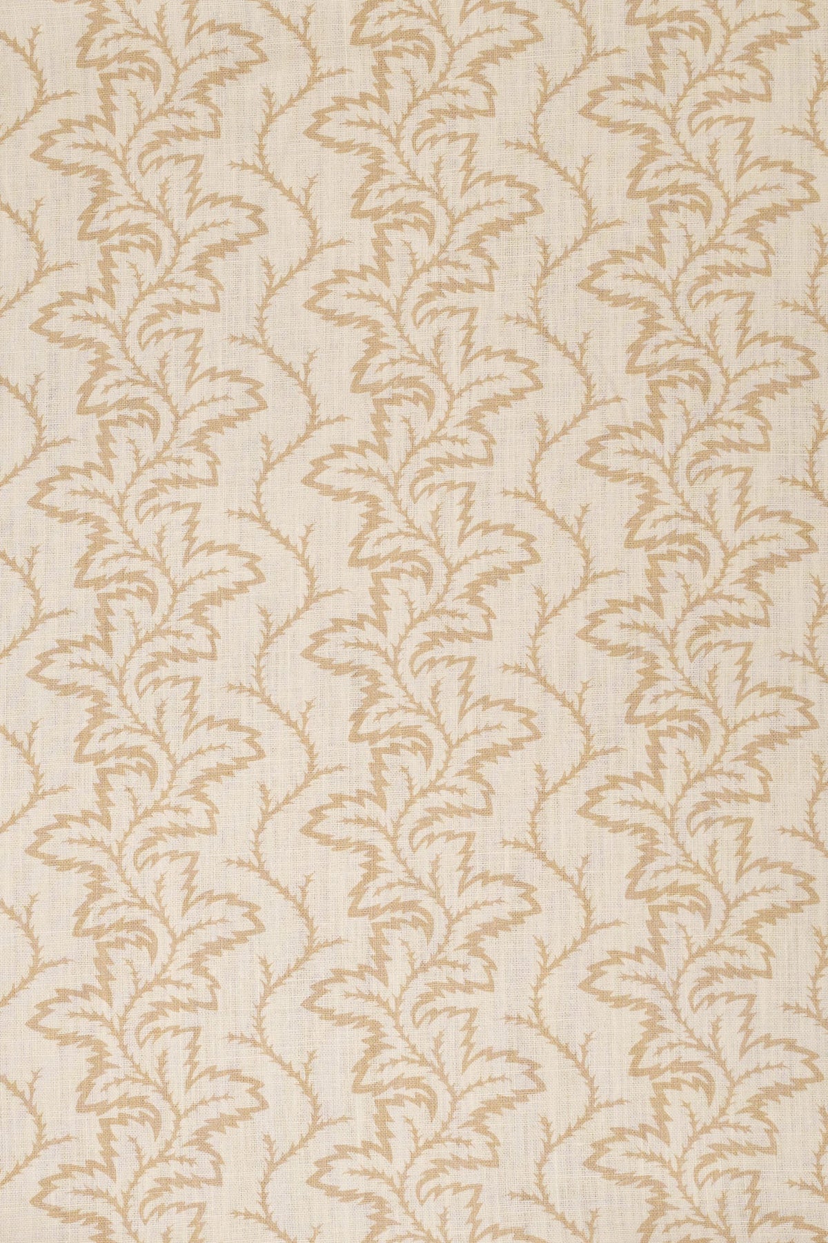 10- moonlight beige_SEAFERN