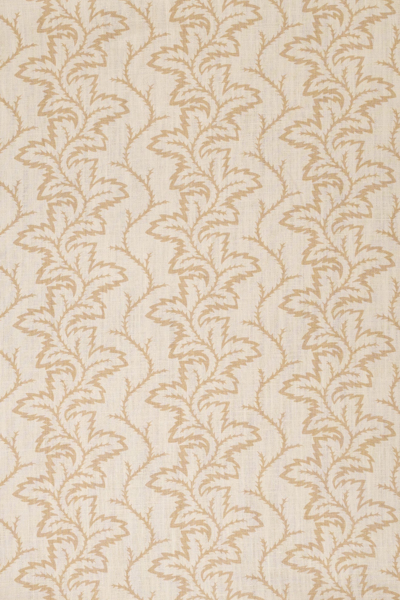 10- moonlight beige_SEAFERN