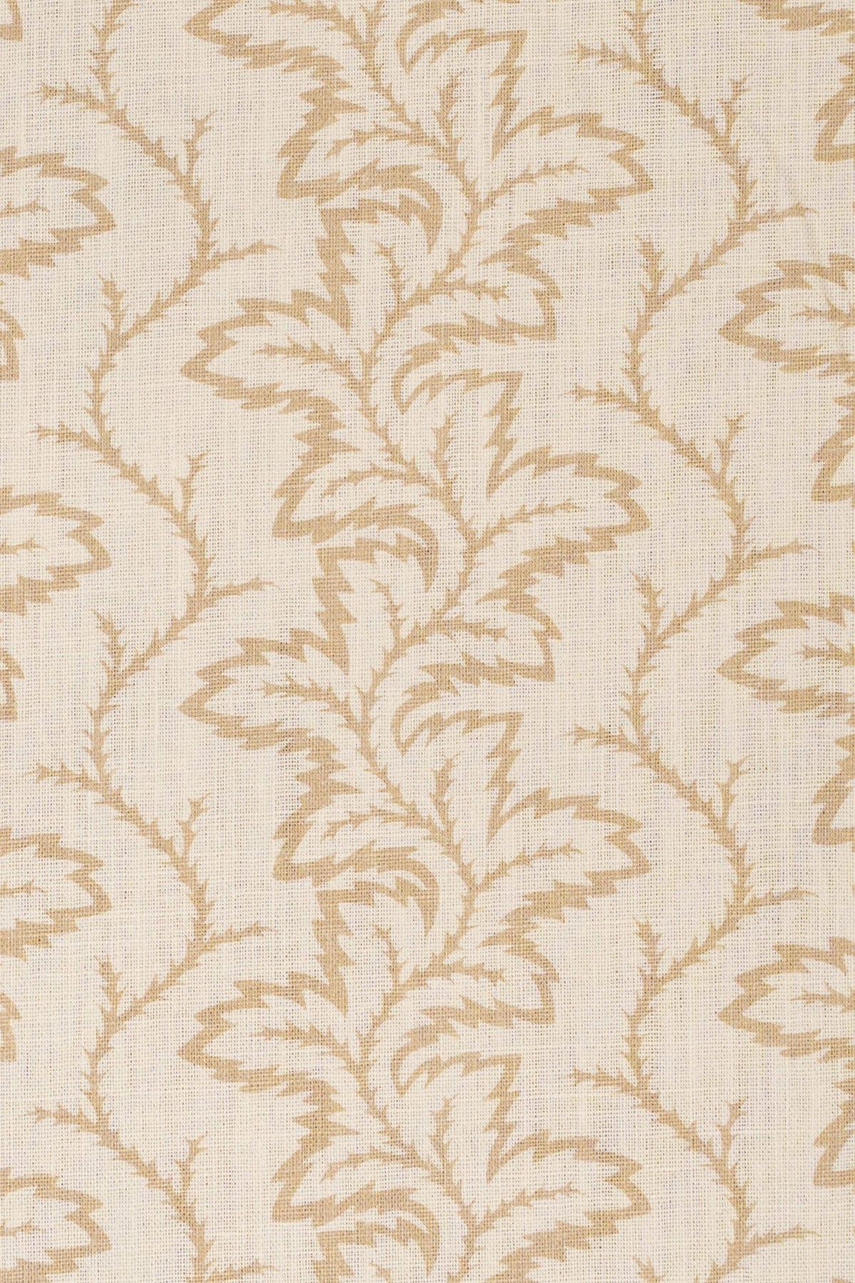 10- moonlight beige_SEAFERN