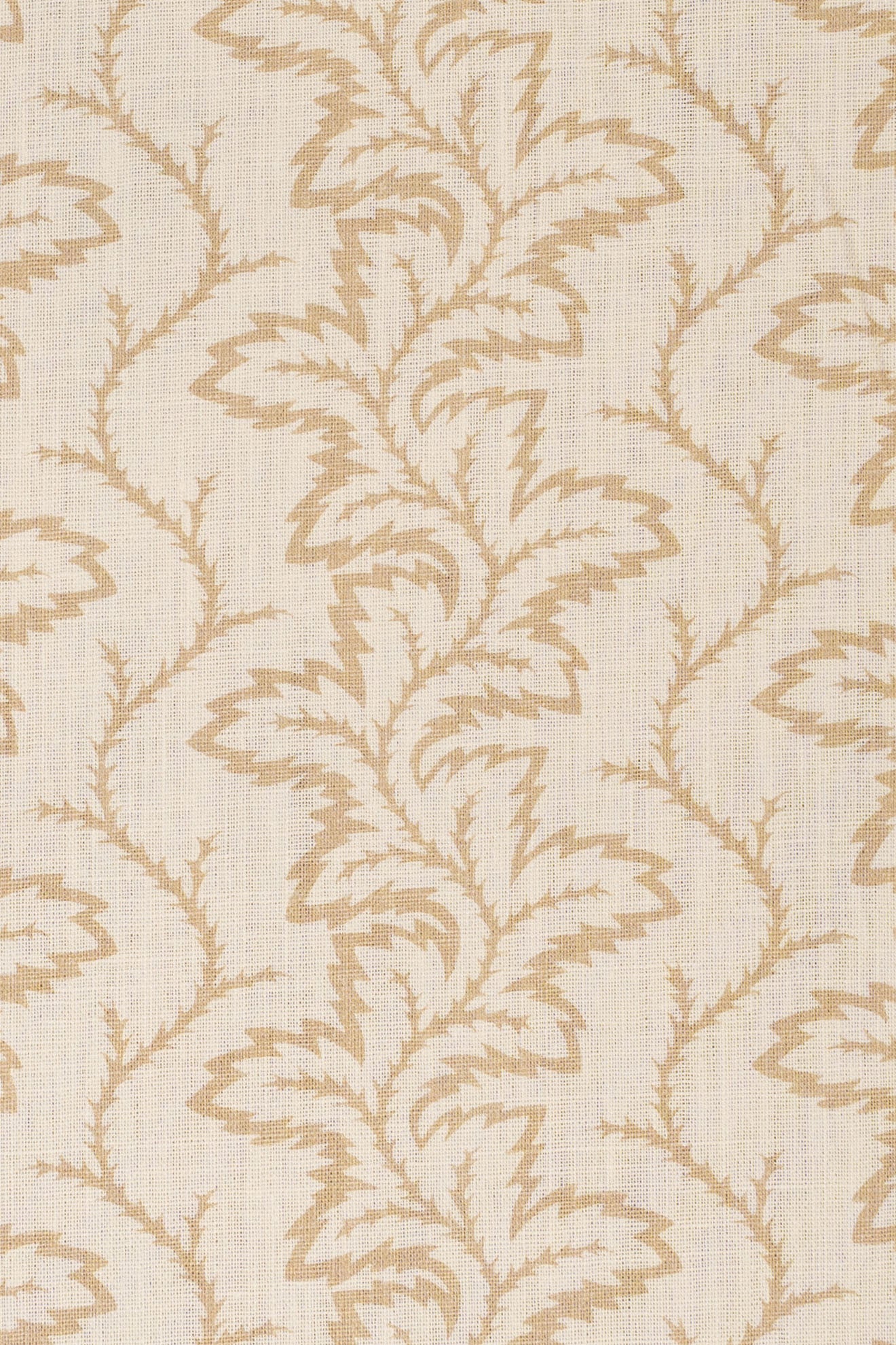 10- moonlight beige_SEAFERN