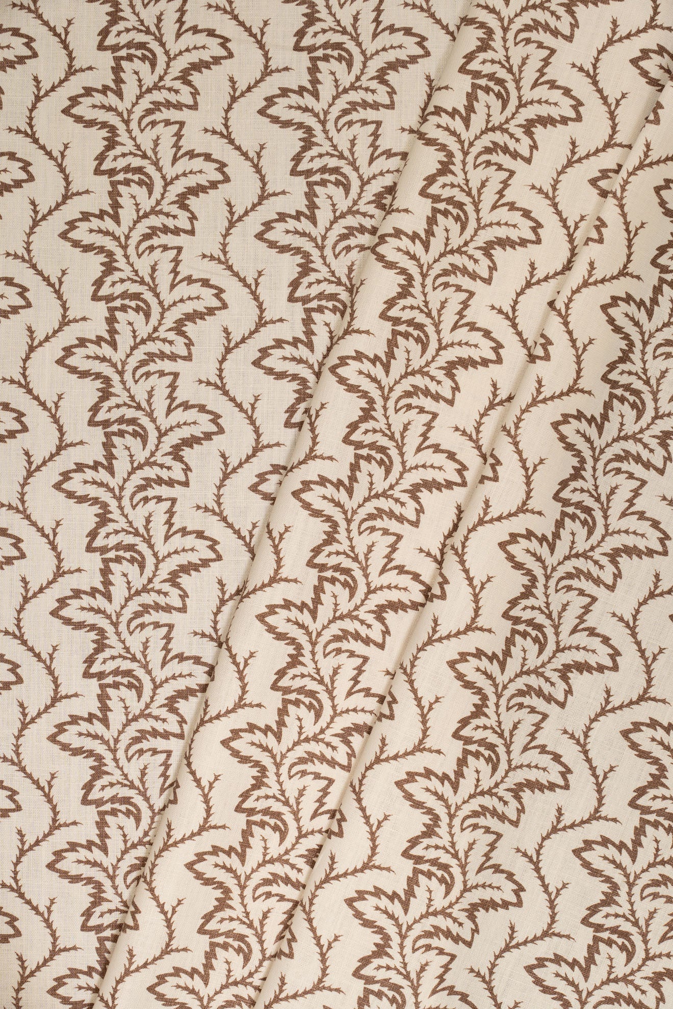 8- unearthly brown_SEAFERN