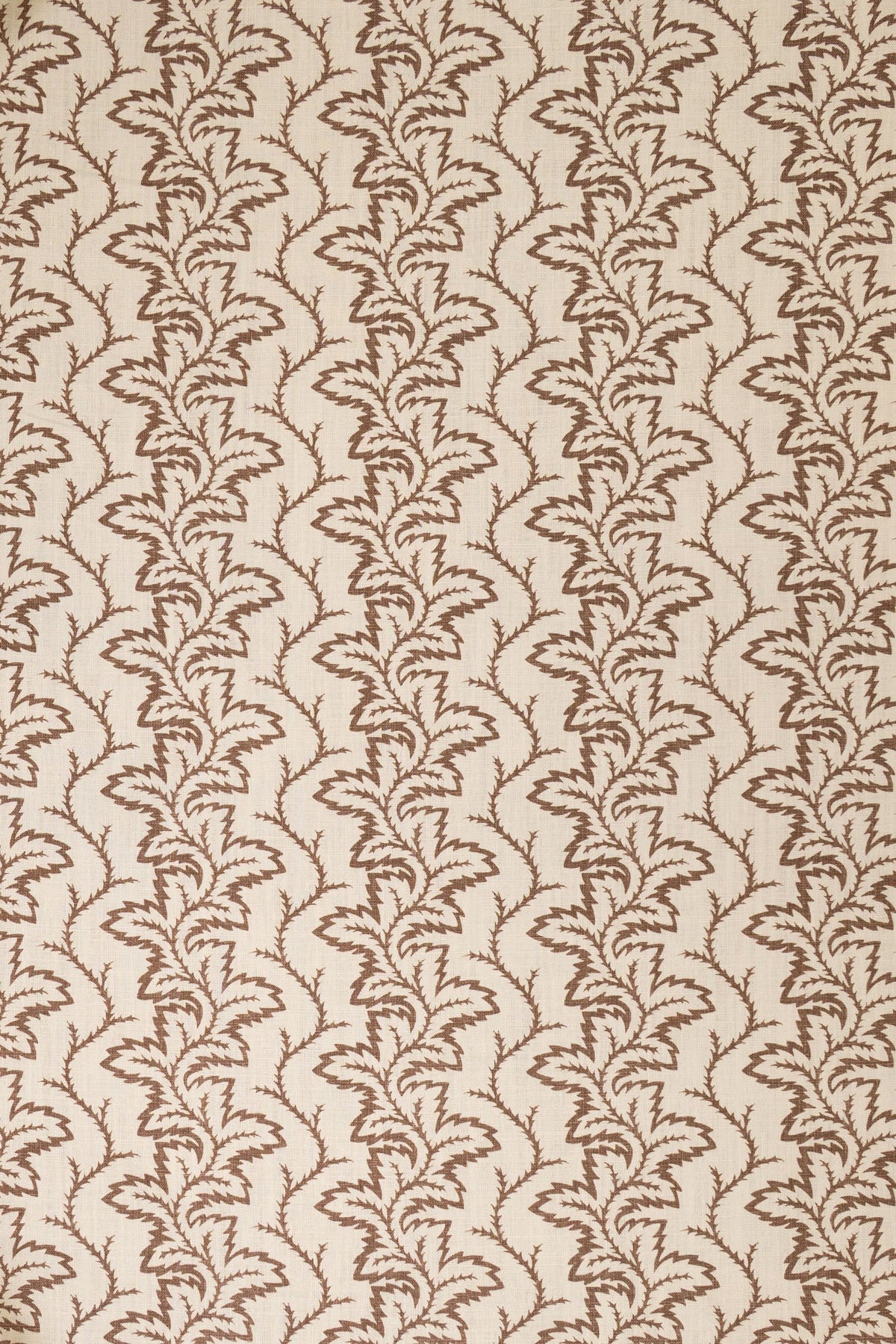 8- unearthly brown_SEAFERN