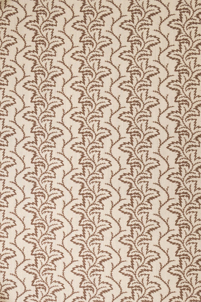 8- unearthly brown_SEAFERN