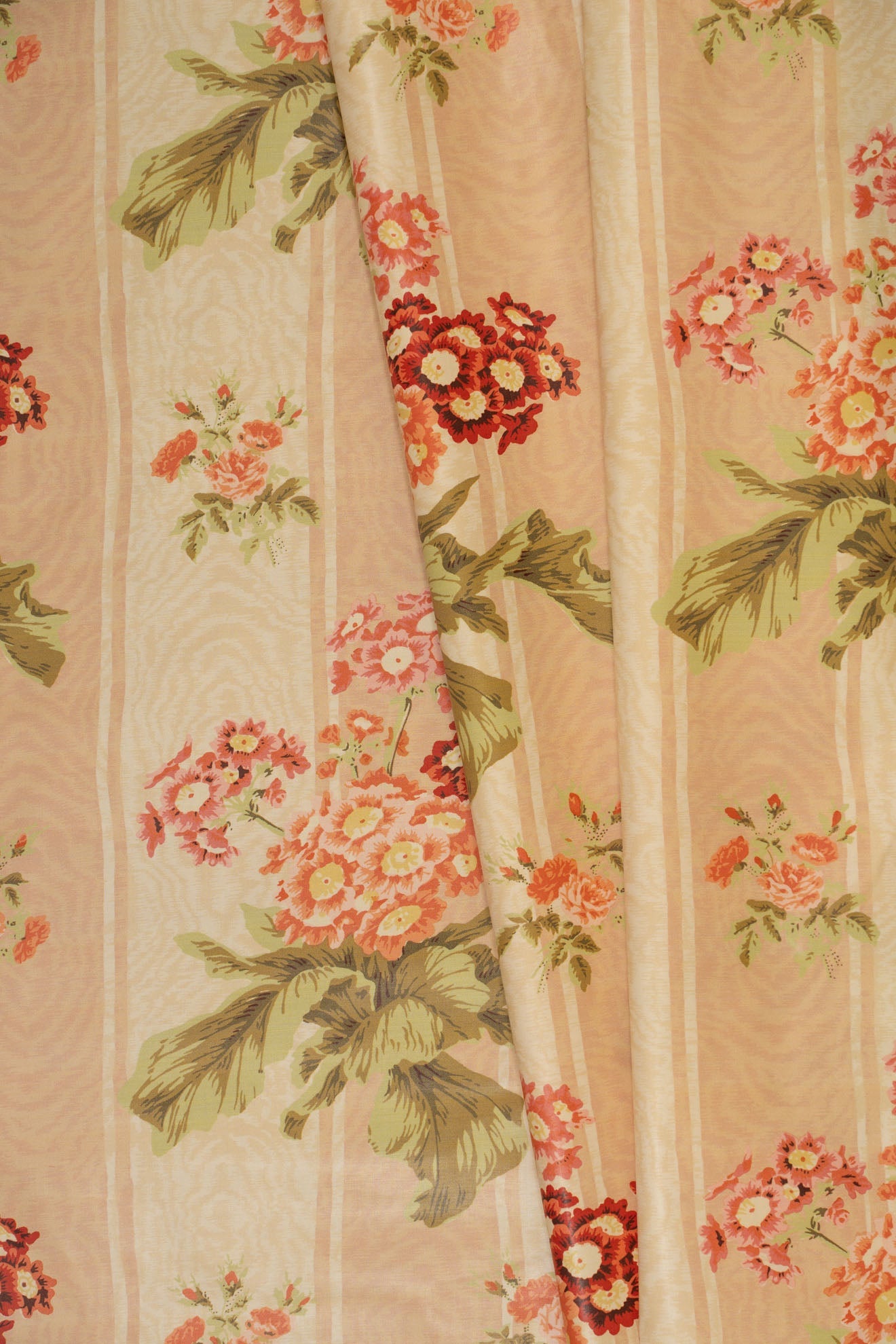 jm-708 apricot_POLYANTHUS