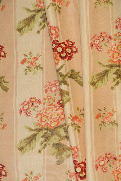 jm-708 apricot_POLYANTHUS
