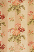 JM-708 apricot