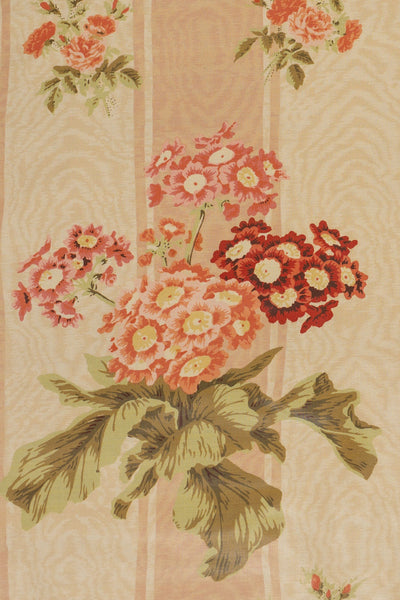 jm-708 apricot_POLYANTHUS