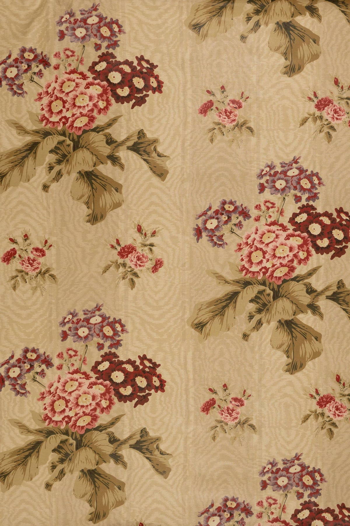 jm-705 celadon_POLYANTHUS
