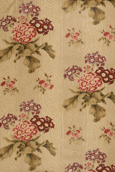 jm-705 celadon_POLYANTHUS