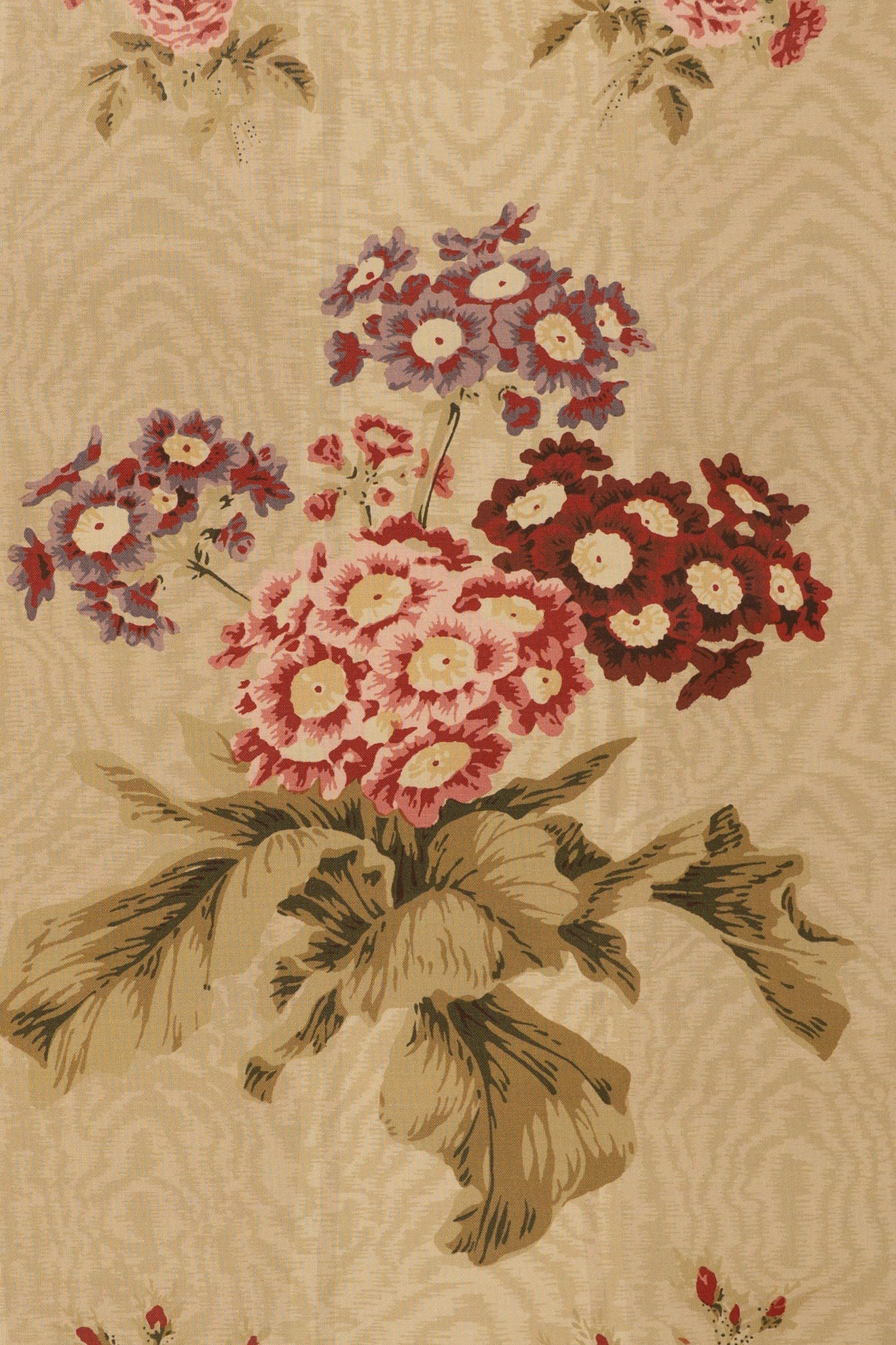 jm-705 celadon_POLYANTHUS