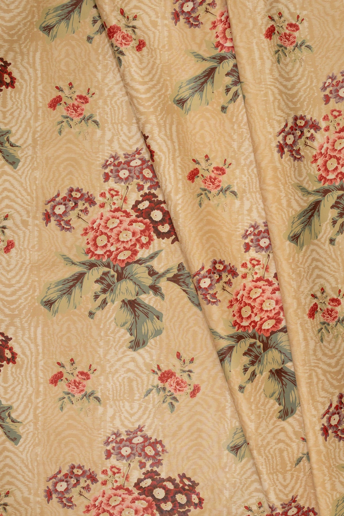 jm-706 coffee_POLYANTHUS