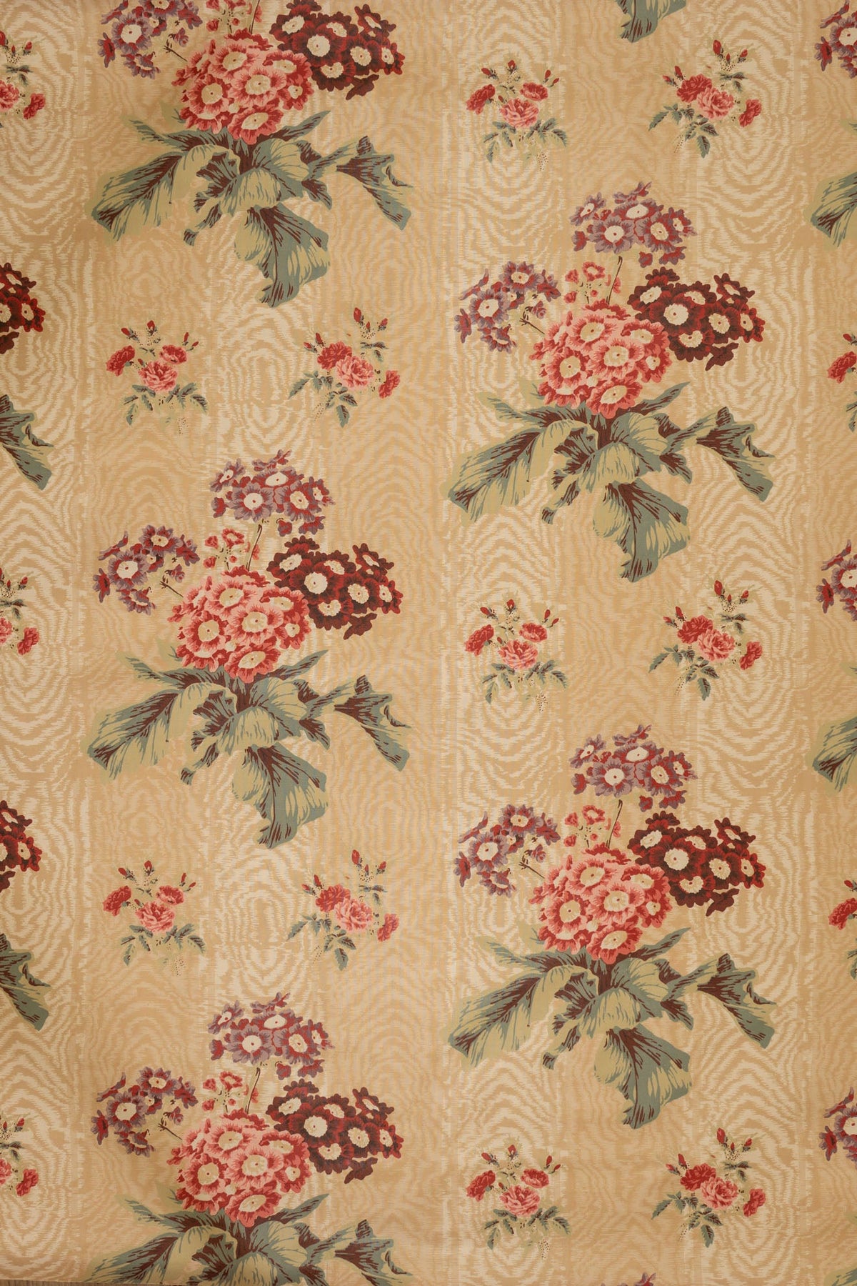 jm-706 coffee_POLYANTHUS